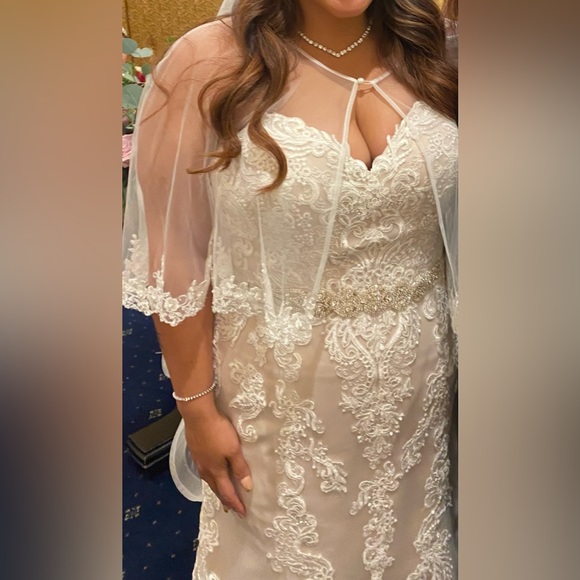 Maggie Sottero Clarette wedding gown - Picture 3 of 5